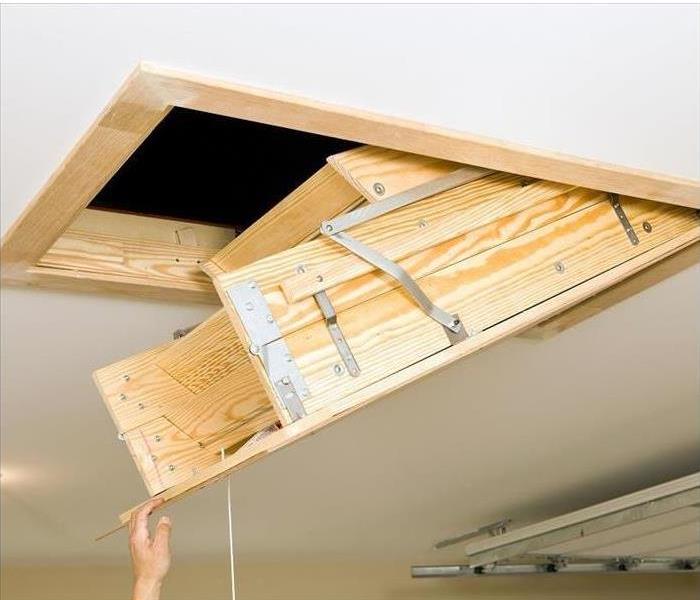 pull down stairs to attic with mold