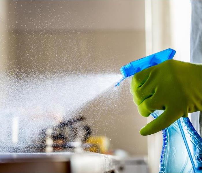 green gloved hand spraying  liquid out of a blue bottle onto a countertop