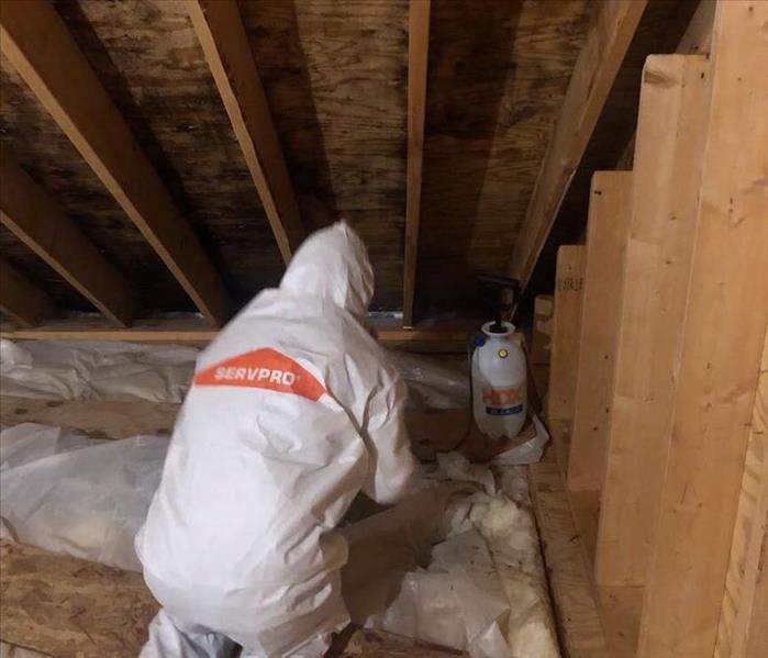 Team member in PPE in an attic.